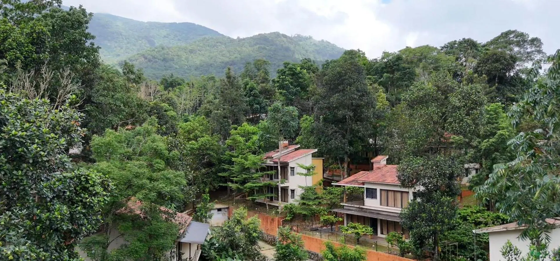Resort Safari Hills Hotel Vythiri