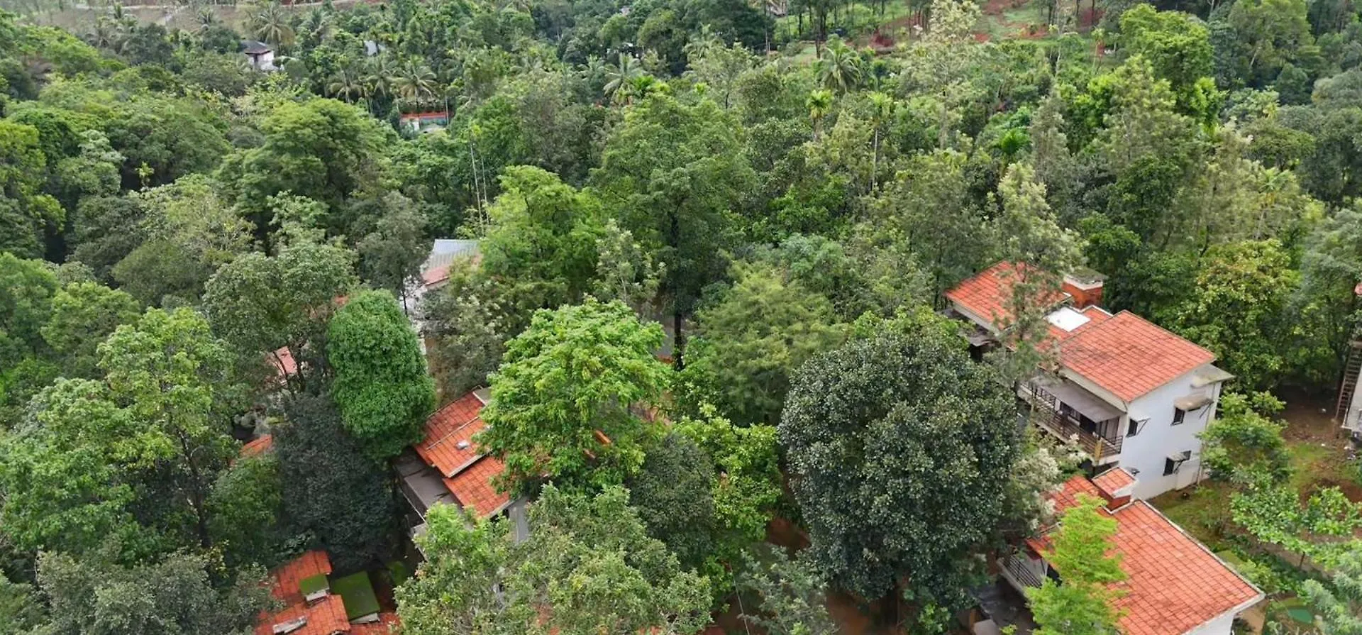 Safari Hills Ξενοδοχείο Vythiri Θέρετρο